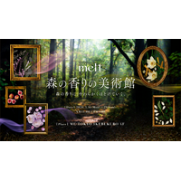 花王「melt」、都会の真ん中で森林浴を楽しむ没入型体験スポット「森の香りの美術館」を2026年3月16日より期間限定オープン