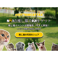 HitPaw自慢の推し猫イベント開催中｜自分の猫写真でDJI Pocketをゲット