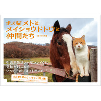 【馬と猫の友情ふたたび】フォトブック『ボス猫メトとメイショウドトウと仲間たち』3月25日に発売決定！