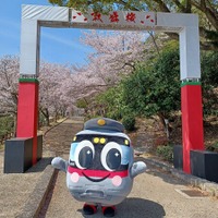 『海と桜の絶景陽桜』『関西最大級のエンタメ夜桜』昼も夜も楽しめる須磨の桜のイベント「敦盛桜2026」を3月31日（火）から4月9日（木）まで開催！