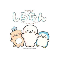 『しろたん』TVアニメ化決定！2026年秋、テレビ朝日にて放送開始