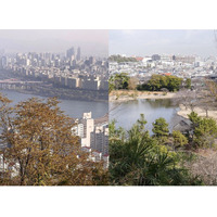 横浜美術館「アーティストとひらく　鎌田友介展：ある想像力、ふたつの土地」2026年4月25日(土) - 6月28日(日)