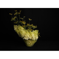 フラワーアーティスト 蔦谷ヨシミツ 5 月 TSUTAYA STUDIO にて POP UP 開催