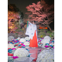 『浮花』-Fuka- 2026.4.1 START