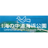 100万本のネモフィラ満開！