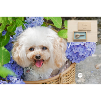 豊橋筆の製造工房「筆庵」、筆職人が作るペットの筆「ペットの抜け毛で作る小さな筆」愛犬や愛猫たちの愛らしい毛をいつまでも温かな思い出に