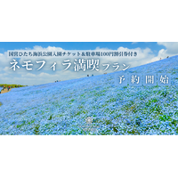 〈ネモフィラの絶景×日本初の泊まれる植物園〉国営ひたち海浜公園入園チケット付き「ネモフィラ満喫プラン」販売開始