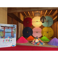 【神奈川・横浜DC特別企画】鎌倉 覚園寺で和傘をライトアップしたフォトスポット「幸せの雨傘」を設置します！