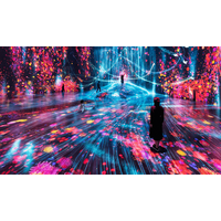 【プルマン東京田町】チームラボボーダレス（東京・麻布台ヒルズ）と提携。夏休み＆GWに人気施設への入場確約プランが登場