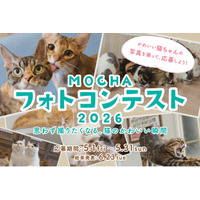 【猫カフェMOCHA】「MOCHAフォトコンテスト2026」開催決定！人気芸人のかが屋 加賀翔さん、ぱーてぃーちゃん 信子さんが特別審査員に就任