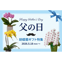 父の日胡蝶蘭ギフトを2026年5月18日～販売開始！｜胡蝶蘭専門サイトフラワースミスギフト