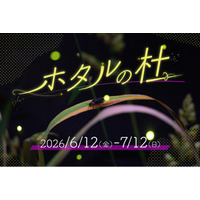 【仙台うみの杜水族館】未来へつなぐ、淡く優しいホタルの光　特別展示「ホタルの杜」【２０２６年６月１２日（金）～７月１２日（日）】