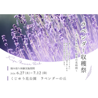 くじゅう花公園ラベンダー収穫祭2026　 ～香りを束ねる、初夏の花時間～