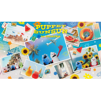 パペットスンスンの期間限定ポップアップが7月25日よりお台場で開催！新アートと販売アイテムの一部を公開
