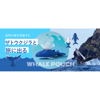 小笠原にやってくるアイドルクジラ“モッチーニ”を再現した「ザトウクジラのマスコットポーチ」が新登場【小笠原ホエールウォッチング協会監修】