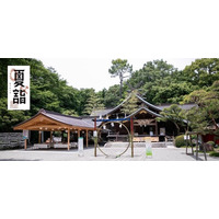 夏に詣でる新風習！ “関東のいずもさん”こと、出雲大社相模分祠が「夏詣」を7月1日（水）～8月31日（月）に開催