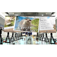 猛暑につき、水族館から“涼”をお届け。サンシャイン水族館の生き物たちがJR埼京線車両内をジャック！6月29日(月)より一足先に「暑中お見舞い申し上げます」