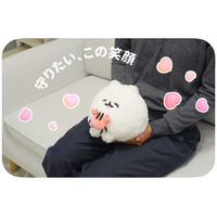 【『ポメトーン』ぬいぐるみ】がヴィレヴァンオンラインに登場！