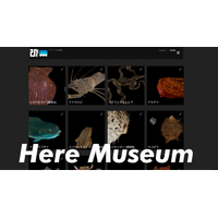 XR博物館プラットフォーム「Here Museum」始動 ― XR生物博物館を大規模リニューアル、デスクトップとMeta Questにも対応拡大、全展示無料化