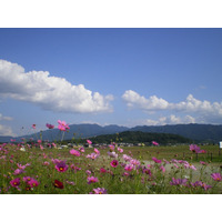 奈良県景観資産パネル展の開催について