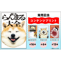 【国宝級のかわいさ】柴犬らんまるのポスター・ブロマイド・スマホカードがセブン‐イレブンのマルチコピー機に登場！