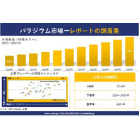 パラジウム市場調査レポート - 世界市場規模、シェア、傾向の見通し、2026-2035年
