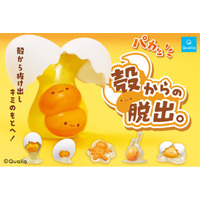 主役は黄身！日常の