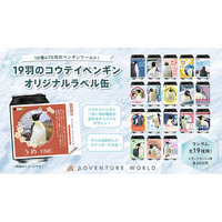 １９羽のコウテイペンギン、一羽一羽の“名前”と“個性”がオリジナルラベルに！アドベンチャーワールド×サントリー「TAG-LIVE！LABEL」オリジナルラベル缶 全１９種が９月１７日（木）より登場！