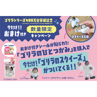 『ゴリラシリーズ』累計販売台数400万突破を記念して対象商品を買うとスクイーズ「ゴリラ“を”ひとつかみ」が付いてくるキャンペーン実施