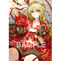 ゲーム『Fate/EXTRA Record』が、2027年1月28日発売！　アニメイト限定のアイテムに使用するセイバーの描きおろしイラストを公開