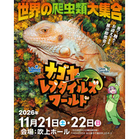 世界の爬虫類・両生類が吹上ホールに大集合！『ナゴヤレプタイルズワールド2026』前売チケット9月30日(水)より発売開始！