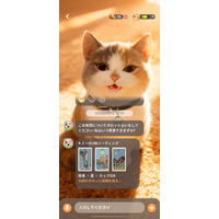 迷ったときは、この子に聞いてみて｜Meowsterにタロット機能が登場