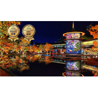 宮城県松島離宮 紅葉ライトアップ2026 10月24日(土)より開催