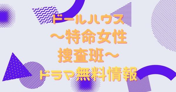 ドラマ｜ドールハウス～特命女性捜査班～の動画を無料で視聴できる配信 